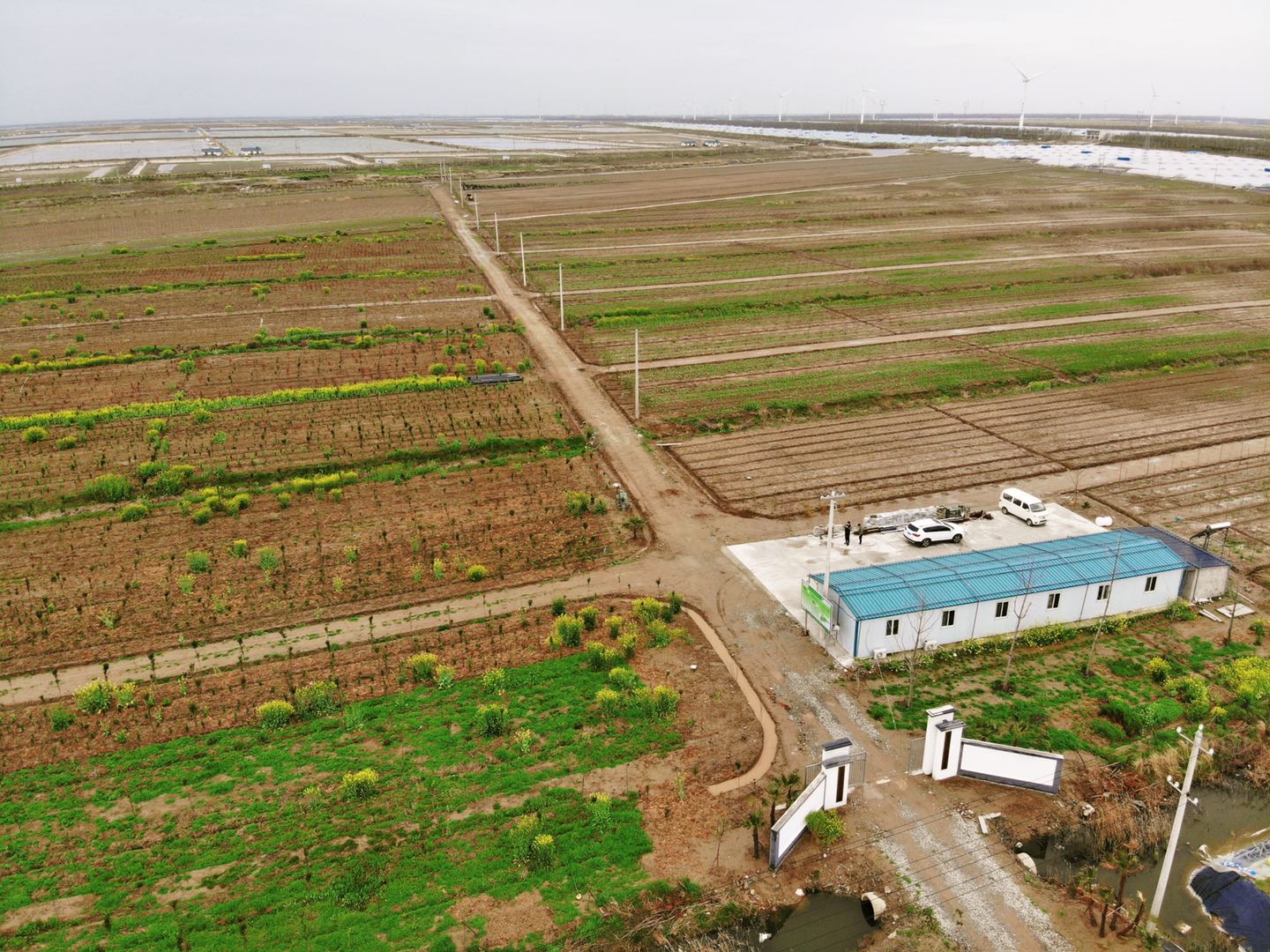 江蘇永威東臺鹽堿地適生植物儲備基地春日煥發(fā)生機(jī)